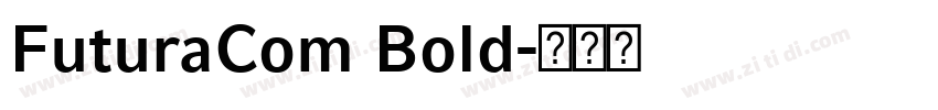 FuturaCom Bold字体转换